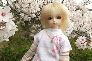 090329桜079.jpg