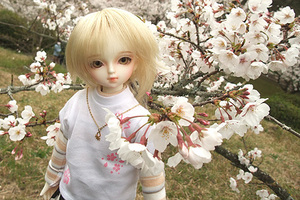 090329桜117.jpg