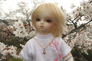 090329桜151.jpg