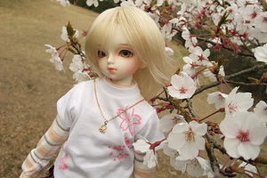 090329桜228.JPG