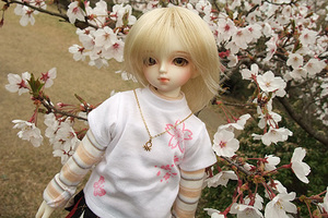 090329桜232.JPG