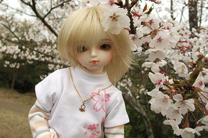 090329桜267.JPG