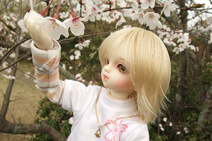 090329桜303.JPG
