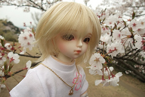 090329桜333.JPG