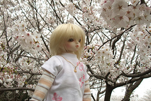 090329桜485.JPG