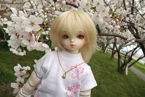 090329桜497.JPG