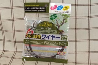 090426アイス025.jpg