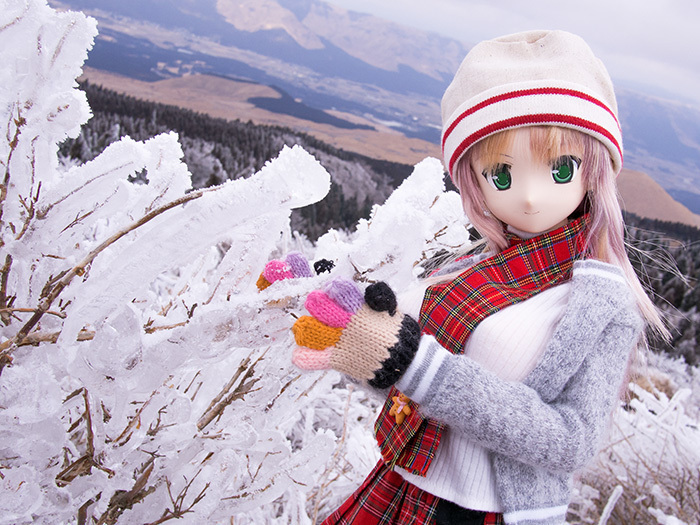 130119樹氷025.jpg