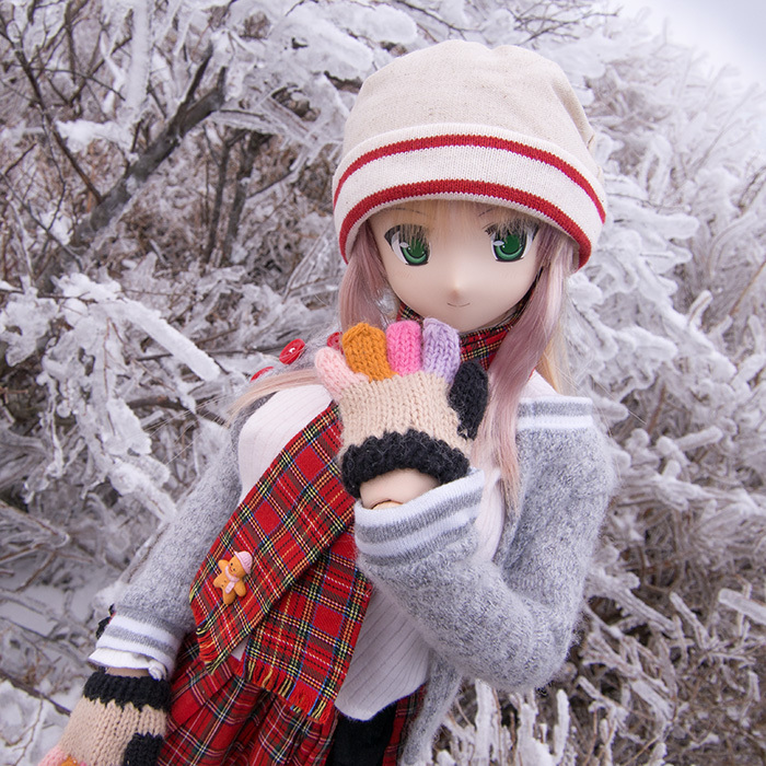 130119樹氷103.jpg