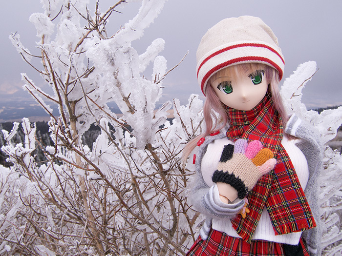 130119樹氷122.jpg