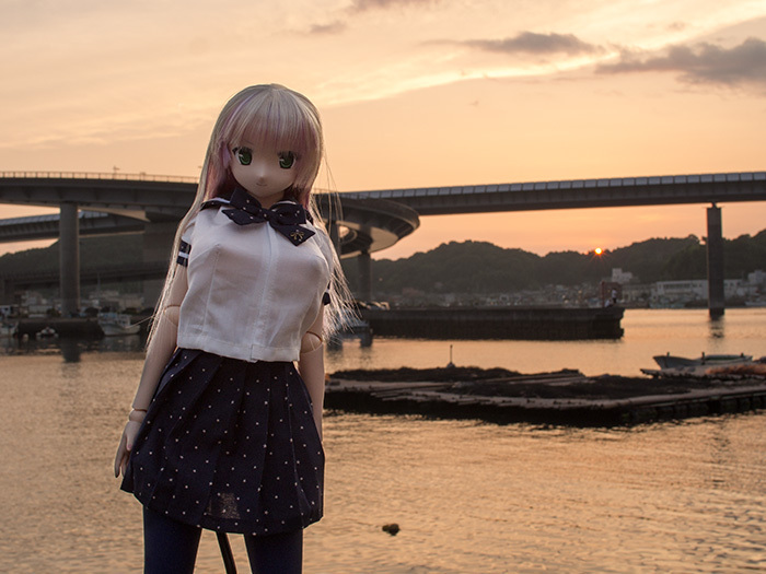 140720ハイヤ大橋005.jpg