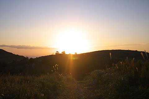 101103平尾台022.jpg