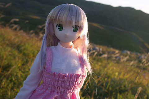 101103平尾台055.jpg