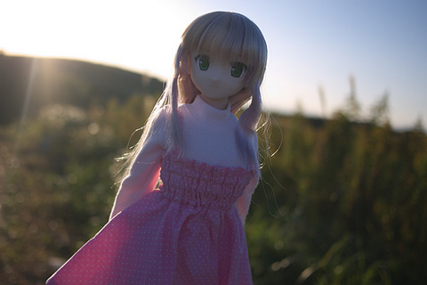 101103平尾台073.jpg