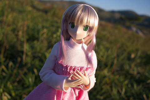 101103平尾台084.jpg