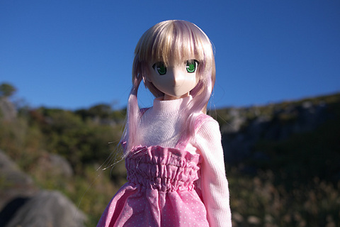 101103平尾台116.jpg