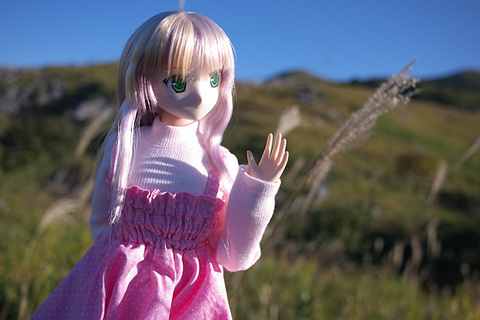 101103平尾台145.jpg