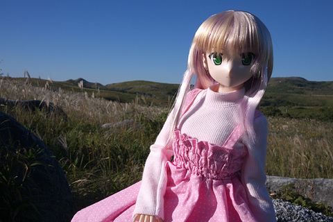 101103平尾台157.jpg