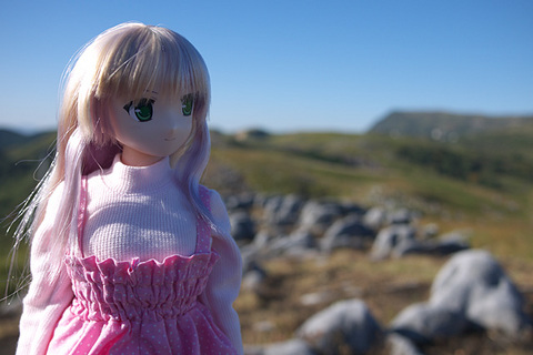 101103平尾台183.jpg